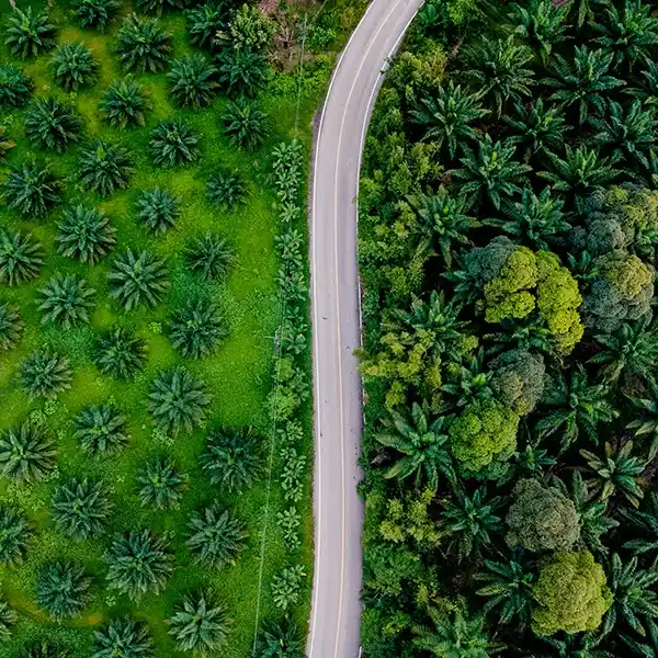 Nueva normativa sobre la obligatoriedad de la huella de carbono